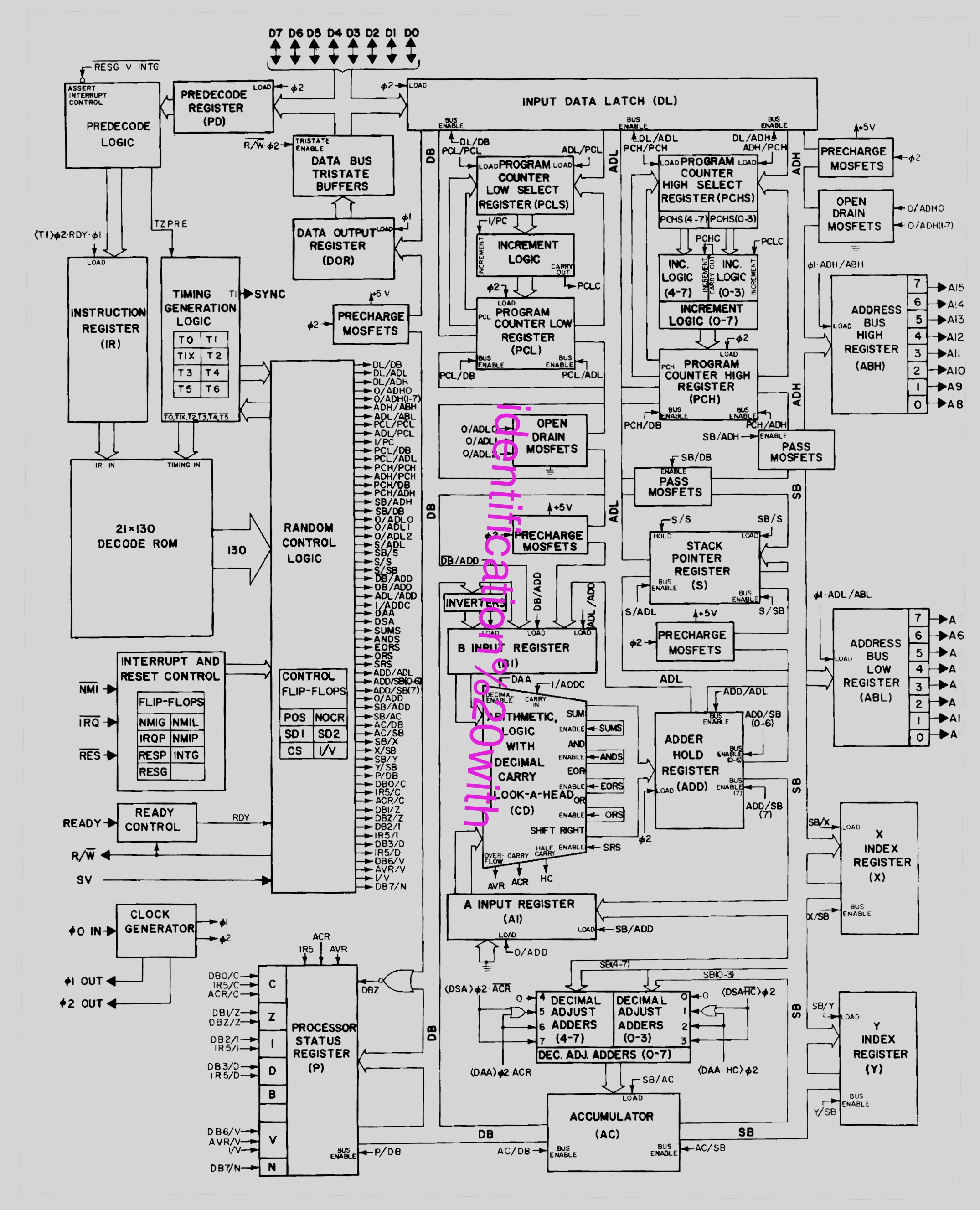 identification with